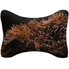 Sea Anemone Coral Underwater Ocean Sea Water Seat Head Rest Cushion by pakminggu