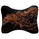 Sea Anemone Coral Underwater Ocean Sea Water Velour Seat Head Rest Cushion View1