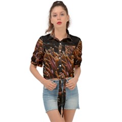 Sea Anemone Coral Underwater Ocean Sea Water Tie Front Shirt  by pakminggu