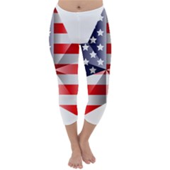 United States Of America Flag Of The United States Independence Day Capri Winter Leggings  by danenraven