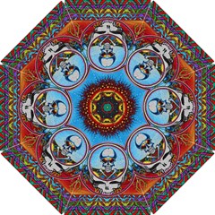 Grateful Dead Wallpapers Hook Handle Umbrellas (small) by Mog4mog4