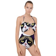 Grumpy Cat Scallop Top Cut Out Swimsuit by Mog4mog4