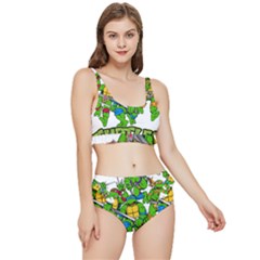 Teenage Mutant Ninja Turtles Frilly Bikini Set by Mog4mog4