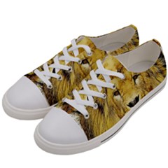 Lion Lioness Wildlife Hunter Women s Low Top Canvas Sneakers by Mog4mog4