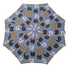 Cat Cat Background Animals Little Cat Pets Kittens Straight Umbrellas by 99art