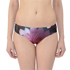 Pink Flowers Petals Blossoms Blooms Art Hipster Bikini Bottoms