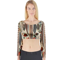 Feathers Birds Vintage Art Long Sleeve Crop Top by Vaneshart