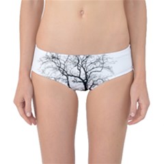 Tree-silhouette-winter-plant Classic Bikini Bottoms