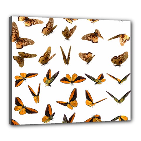 Butterfly Butterflies Insect Swarm Canvas 24  X 20  (stretched)