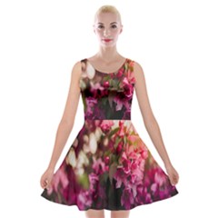 Pink Flower Velvet Skater Dress by artworkshop