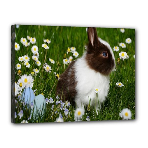 Rabbit Canvas 16  X 12  (stretched) by artworkshop
