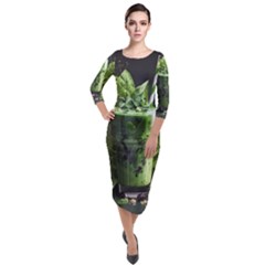 Drink Spinach Smooth Apple Ginger Quarter Sleeve Midi Velour Bodycon Dress by Ndabl3x