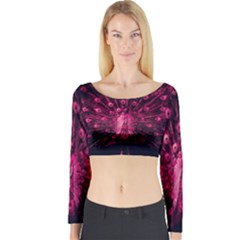 Peacock Pink Black Feather Abstract Long Sleeve Crop Top