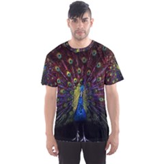 Peacock Feathers Men s Sport Mesh Tee