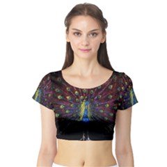 Peacock Feathers Short Sleeve Crop Top