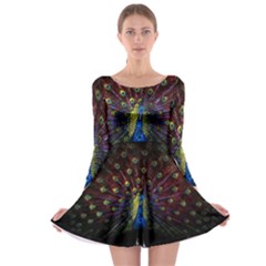 Peacock Feathers Long Sleeve Skater Dress by Wav3s