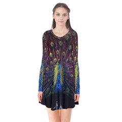 Peacock Feathers Long Sleeve V-neck Flare Dress by Wav3s