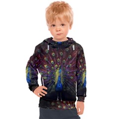 Peacock Feathers Kids  Hooded Pullover