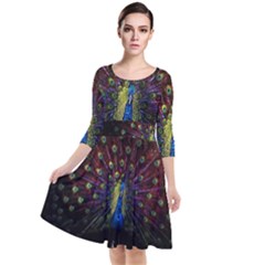 Peacock Feathers Quarter Sleeve Waist Band Dress by Wav3s