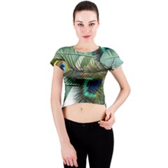 Peacock Feathers Blue Green Texture Crew Neck Crop Top by Wav3s