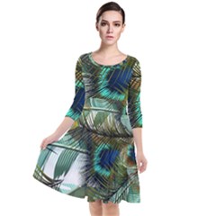 Peacock Feathers Blue Green Texture Quarter Sleeve Waist Band Dress