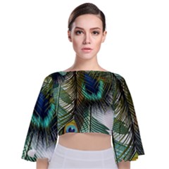 Peacock Feathers Feather Blue Green Tie Back Butterfly Sleeve Chiffon Top