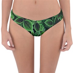 Shanghai Botanical Garden Reversible Hipster Bikini Bottoms by Cowasu