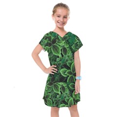 Shanghai Botanical Garden Kids  Drop Waist Dress by Cowasu