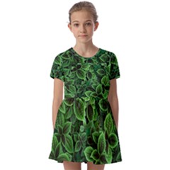 Shanghai Botanical Garden Kids  Short Sleeve Pinafore Style Dress by Cowasu