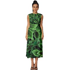 Shanghai Botanical Garden Sleeveless Round Neck Midi Dress by Cowasu