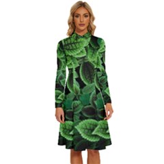 Shanghai Botanical Garden Long Sleeve Shirt Collar A-line Dress by Cowasu