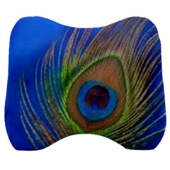 Blue Peacock Feather Velour Head Support Cushion by Amaryn4rt