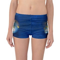 Fish Blue Animal Water Nature Reversible Boyleg Bikini Bottoms by Amaryn4rt