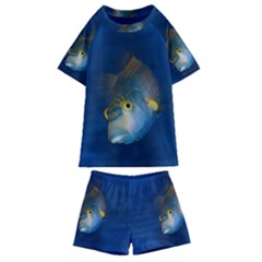 Fish Blue Animal Water Nature Kids  Swim Tee And Shorts Set by Amaryn4rt