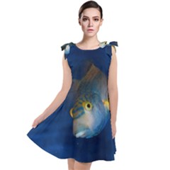 Fish Blue Animal Water Nature Tie Up Tunic Dress by Amaryn4rt