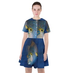 Fish Blue Animal Water Nature Sailor Dress by Amaryn4rt