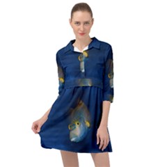 Fish Blue Animal Water Nature Mini Skater Shirt Dress