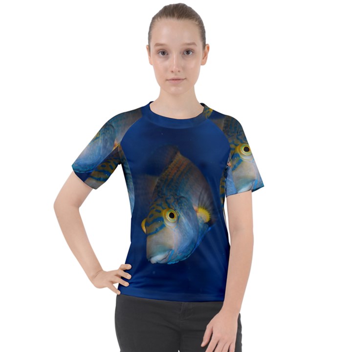 Fish Blue Animal Water Nature Women s Sport Raglan Tee