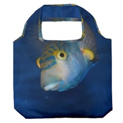 Fish Blue Animal Water Nature Premium Foldable Grocery Recycle Bag by Amaryn4rt