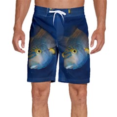 Fish Blue Animal Water Nature Men s Beach Shorts