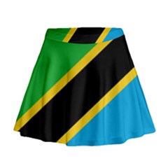 Flag Of Tanzania Mini Flare Skirt