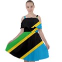 Flag Of Tanzania Cut Out Shoulders Chiffon Dress View1