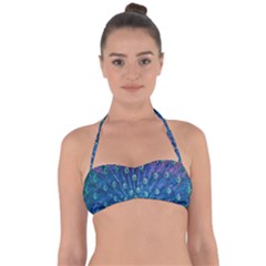 Amazing Peacock Halter Bandeau Bikini Top by Simbadda