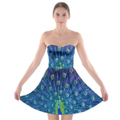 Amazing Peacock Strapless Bra Top Dress by Simbadda