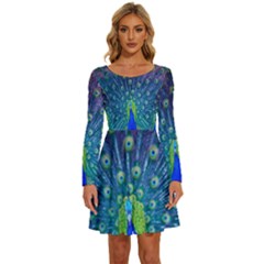 Amazing Peacock Long Sleeve Wide Neck Velvet Dress by Simbadda