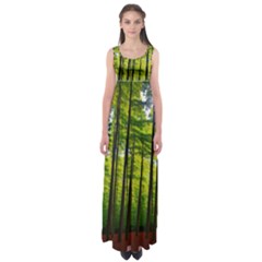 Green Forest Jungle Trees Nature Sunny Empire Waist Maxi Dress by Ravend