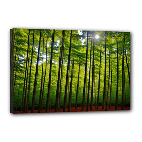 Green Forest Jungle Trees Nature Sunny Canvas 18  X 12  (stretched)