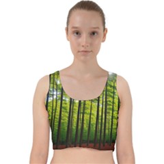 Green Forest Jungle Trees Nature Sunny Velvet Racer Back Crop Top