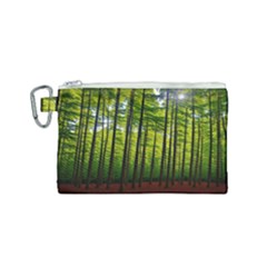 Green Forest Jungle Trees Nature Sunny Canvas Cosmetic Bag (small) by Ravend