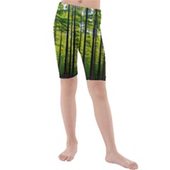 Green Forest Jungle Trees Nature Sunny Kids  Mid Length Swim Shorts